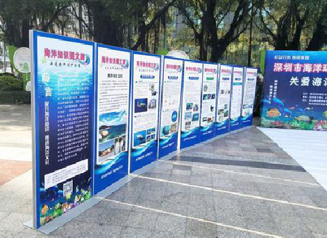 康定KT板的种类和知识。